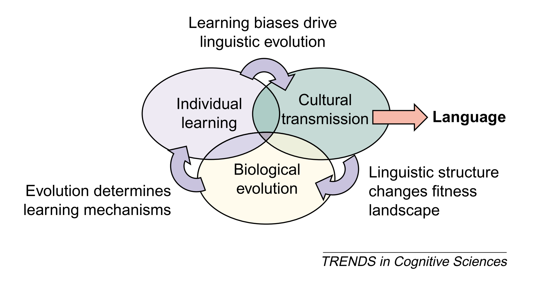 Co-evolution of Language and Agent